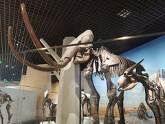 -国家自然博物馆