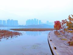 -月湖风景区