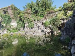 -何园