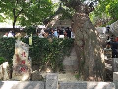 -青岛崂山太清宫