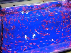 一楼-SFC上影影城(临平店)