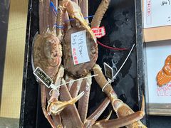 -蟹道乐(道顿堀本店)