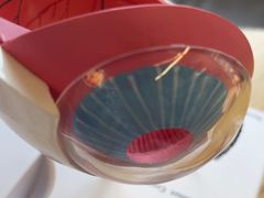 -武汉大学附属爱尔眼科医院(湖北总院)
