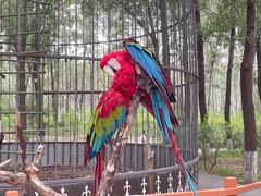 -北京野生动物园