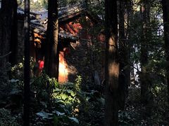 -寂照庵