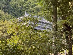 -WILDS 野有食(碧坞店)