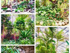 -国家植物园