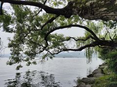 -浙江宾馆·花园餐厅·自助餐厅·茶吧