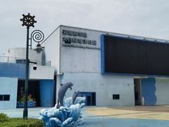 -芜湖新华联大白鲸海洋公园