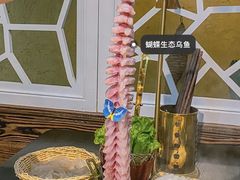 -土著渔匠·养生蝴蝶鱼(香樟路店)