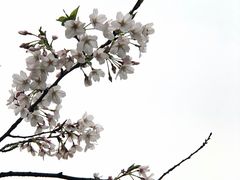 -杭州植物园