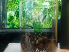 -无牌咖啡&酒馆