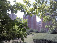 -龙塔
