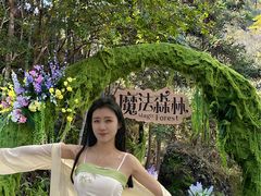 -龙湾潭国家森林公园