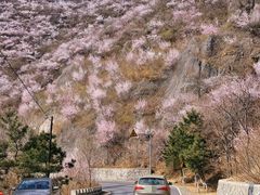 -妙峰山风景名胜区