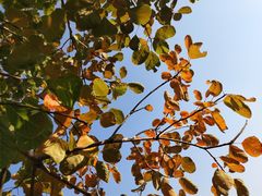 -香山公园-东宫门售票处