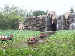 psb (4)-微山湖红荷湿地景区