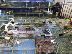 -明记海鲜大排档(巽寮湾店)