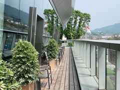 -桃花源中餐厅(金茂豪华精选酒店)