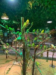 -酷嗒动物文化乐园(cutezoo西溪乐天城店)