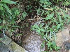 -宝天曼峡谷漂流