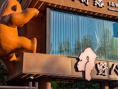 -野人部落(沈阳一店)