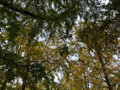 -八大关景区