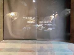-成都许燎源现代设计艺术博物馆