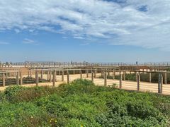 -东疆建设开发纪念公园