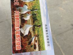 -盐城丹顶鹤湿地生态旅游区