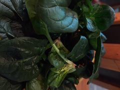 -巴奴毛肚火锅(相州店)