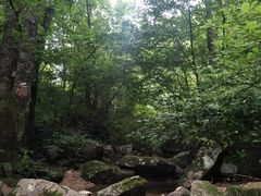 -洛阳白云山景区