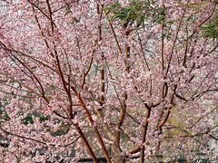 -安定门(地铁站)