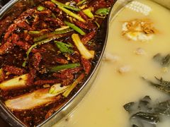 -大红袍火锅料理(尖沙咀店)