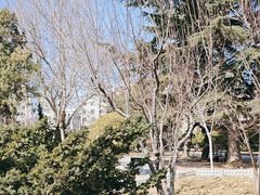 -日本风情街