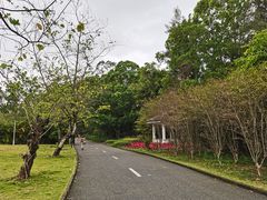 -南沙蒲洲花园