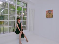 -胶囊画廊
