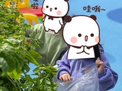 -嘉宝教育·嘉宝幼儿园(徐汇校区)