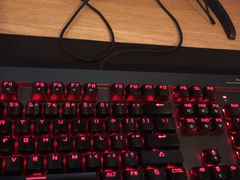 -网鱼电竞(杨浦中原店)