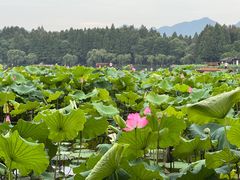 -印象西湖·最忆是杭州实景演出