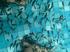 -波塞冬旅游度假区