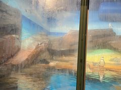 -海合安武汉极地海洋公园
