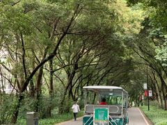 -云溪植物园
