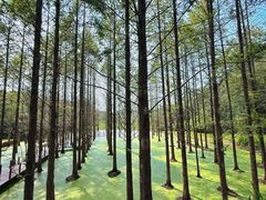 -天目湖涵田度假村