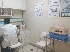 -酷宠动物医院(天通西苑店)