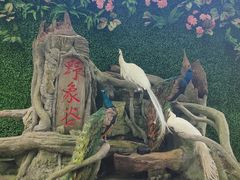 -野象谷景区