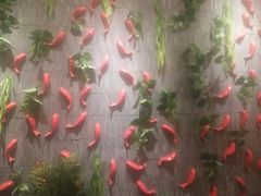 大堂-小龙坎老火锅(北京三里屯店)