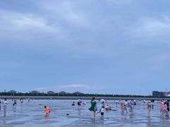 -奉贤海滩