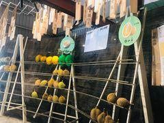 -都念榴莲·城市榴莲