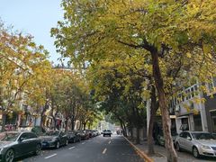 -天津五大道文化旅游区